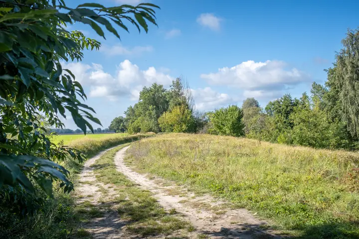 Entlang des Weges am Rhinkanal
