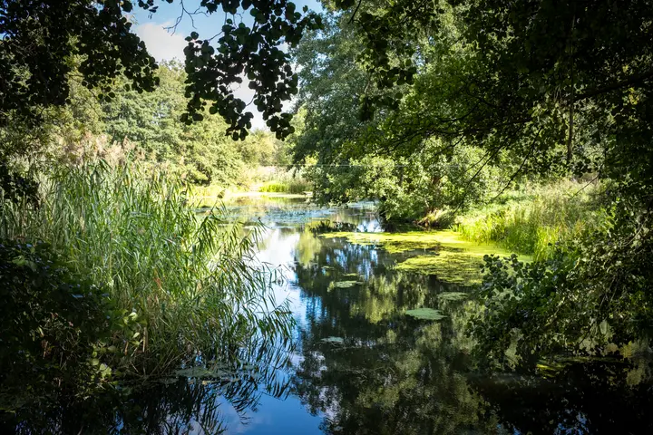 Der alte Rhin in der Nähe des Ortes 'Friesacker Zootzen'
