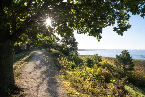 Hübscher Abschnitt bei Quilitz