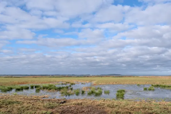 Am Uferbereich im Westen