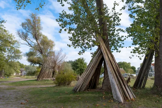 Markierungspfähle in Warthe