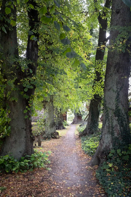 Idyllischer Pfad zur Kirche Liepe