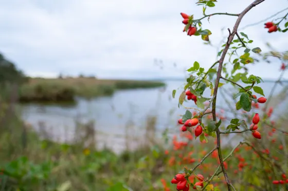 Badestelle im Norden
