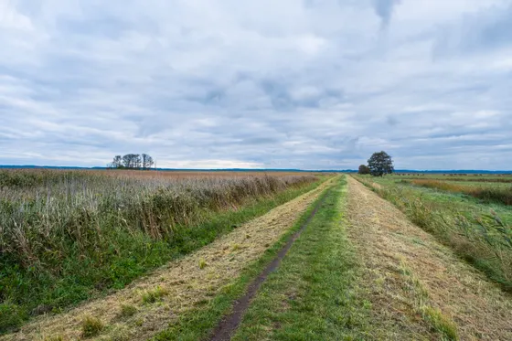 Deich, kilometerlang