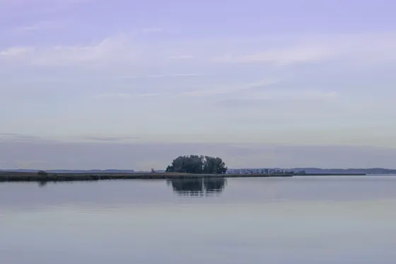 Einsamkeit im Achterwasser. Wo sind die Vögel?
