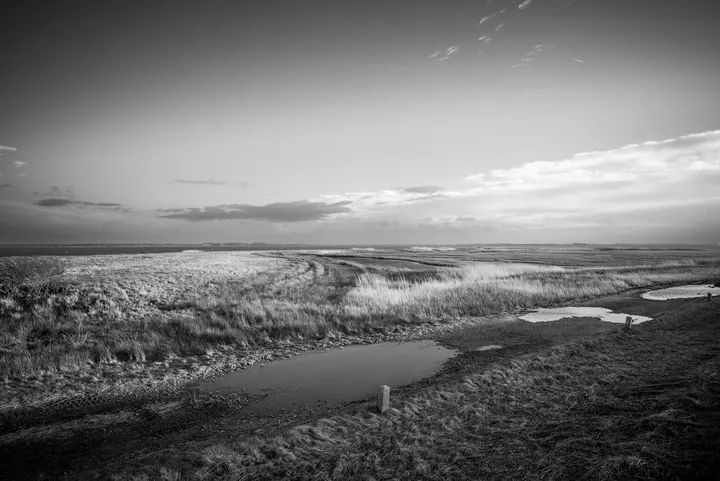 Weg durch die Salzwiesen am Bodden nach dem Regen