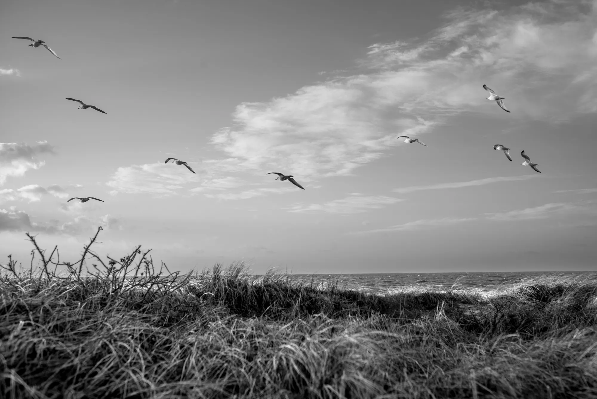 Projekt: Hiddensee