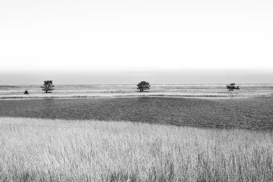 Boddenlandschaft Prerow / Darßer Ort