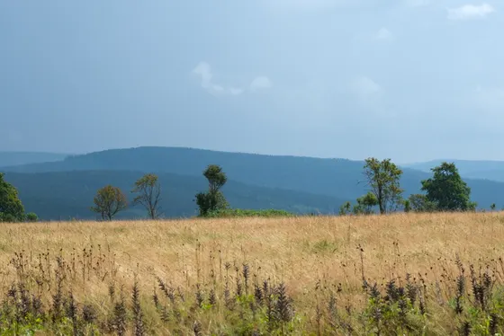 Blick von Johanngeorgenstadt über die Hügel des Erzgebirges