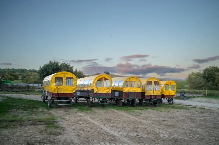 Planwagen warten auf den Einsatz