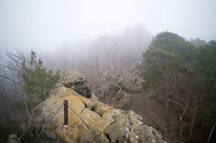 Blick vom Großvaterfelsen