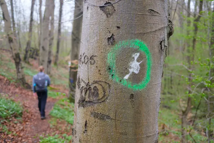 Das Wanderzeichen Hexenstieg - eine Hexe auf dem Besen