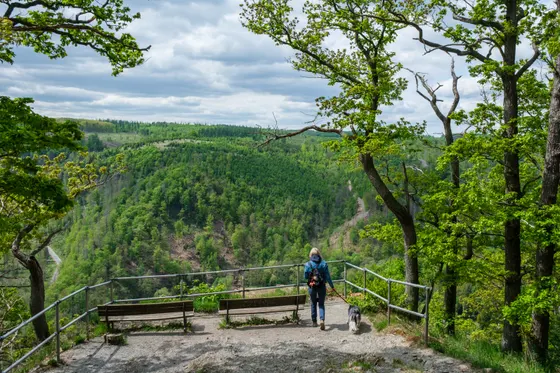 Am Aussichtspunkt Weißer Hirsch