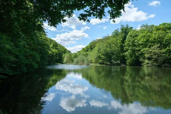 An den Klosterteichen