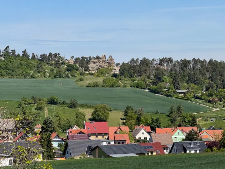 Blick über Timmenrode auf das Hamburger Wappen