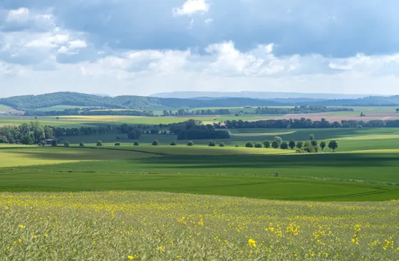 Blick vom Eschenberg