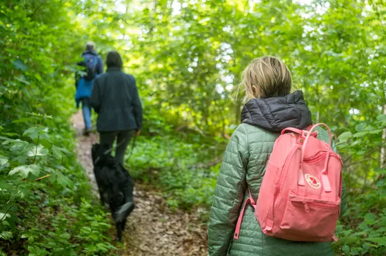 Wanderung an den Gleichen