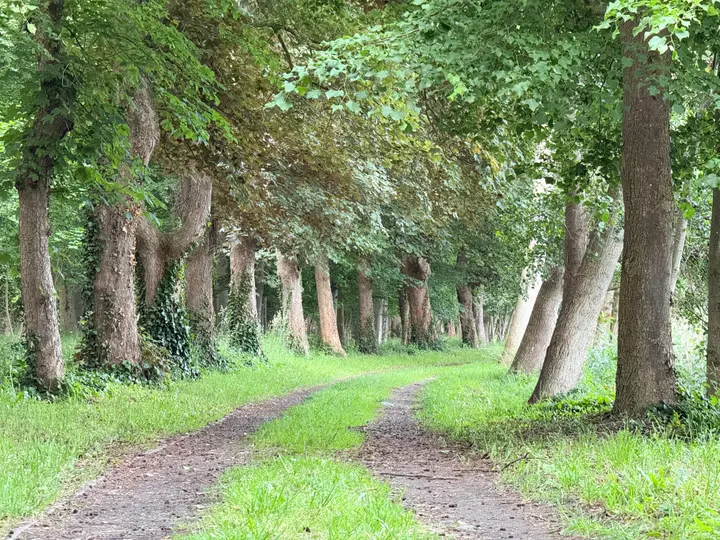 Seeweg am Stadtsee Strasburg