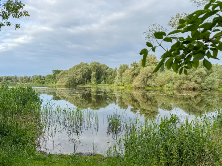 Blick auf den Stadtsee