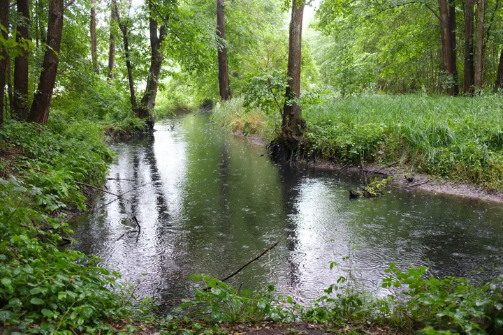 Die Dahme vor Märkisch Buchholz