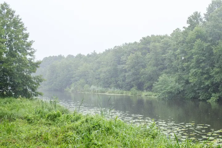 Verträumtes Licht im Regen