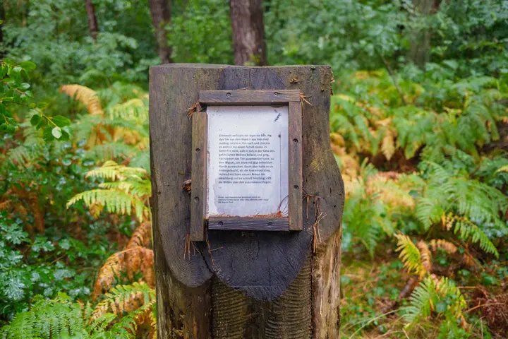 Gedichte am Wegesrand
