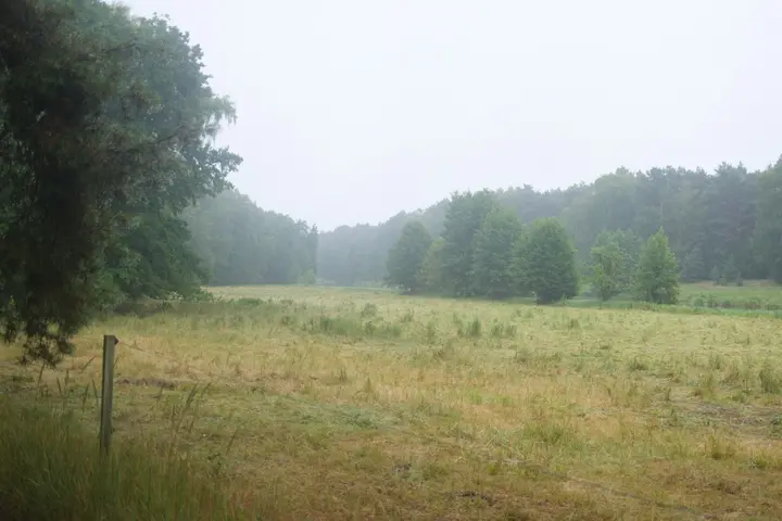 Wiesen vor der Dahme