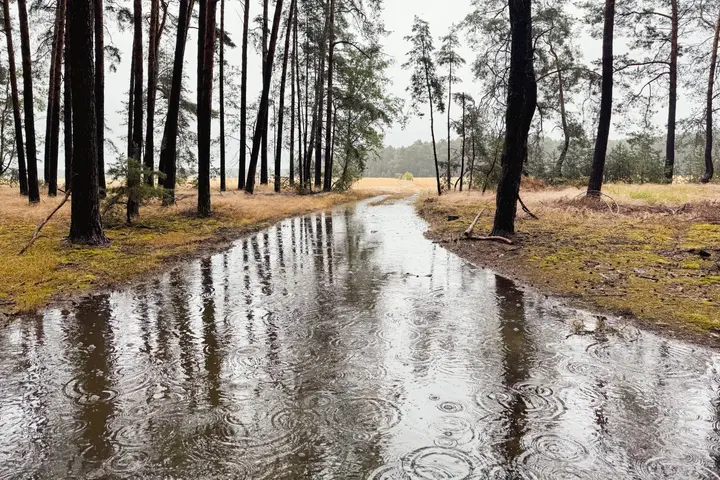 überflutete Wasserwege