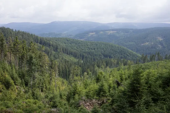 Blick in die Berge des Schneegebirges