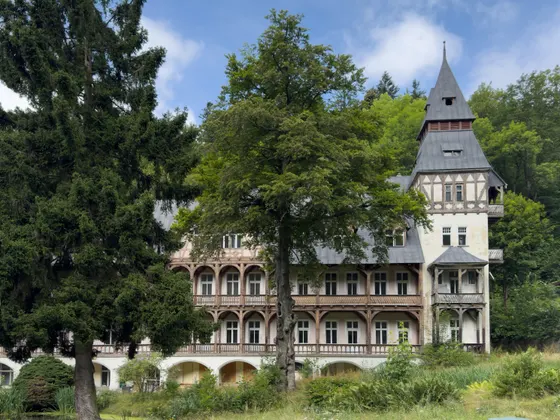 Imposante Häuser in Międzygórze – Wölfelsgrund