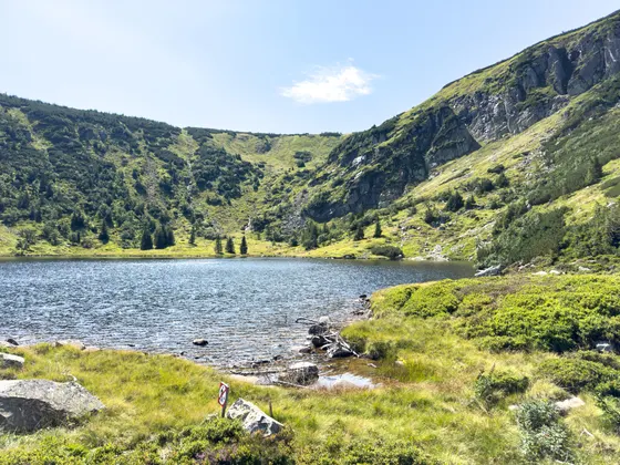 Der Bergsee Mały Staw