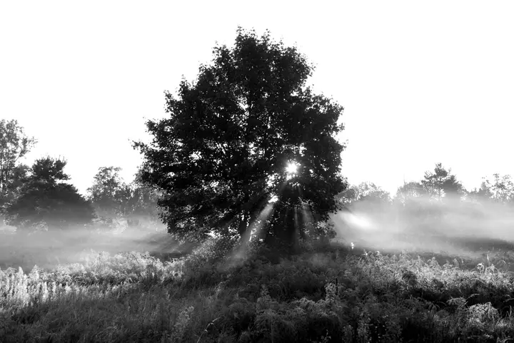Schwierige Lichtverhältnisse: Gegenlicht