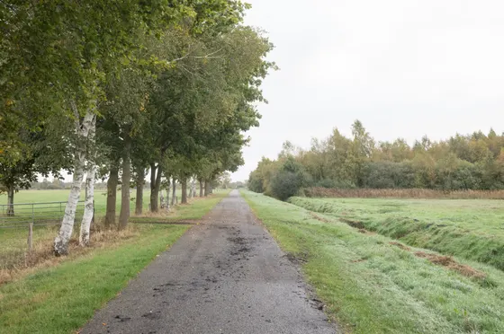 Wanderweg bei Ströhe
