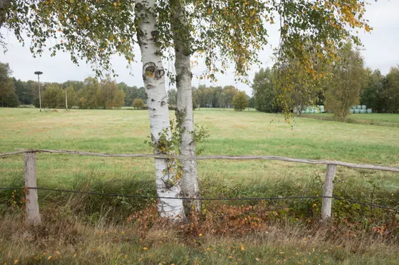 Wanderweg bei Ströhe