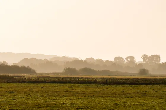 Moorlandschaft im Morgennebel