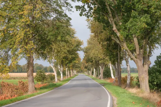 Idyllische Straßen queren das Moor