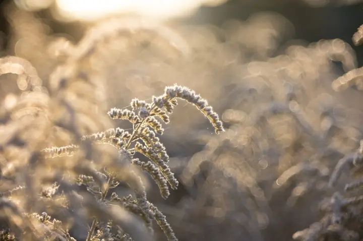 Texturüberlagerungen