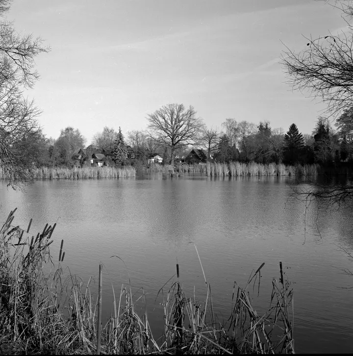 Auf dem Deichdamm bei Grube, Hasselblad 500