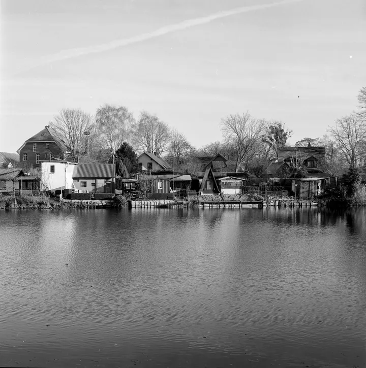 Auf dem Deichdamm bei Grube, Hasselblad 500