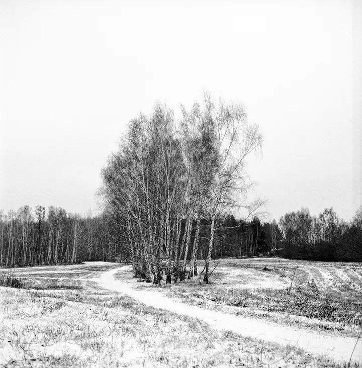 Verschneiter Hahneberg. Hasselblad 500