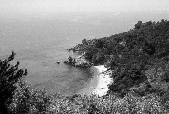 Der Strand auf Skiathos