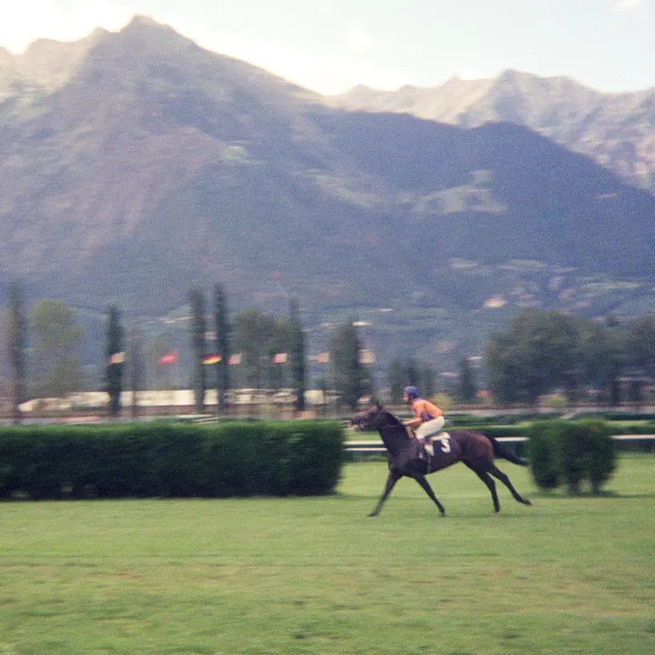 Mein erster Mitzieher! Trabrennbahn Meran