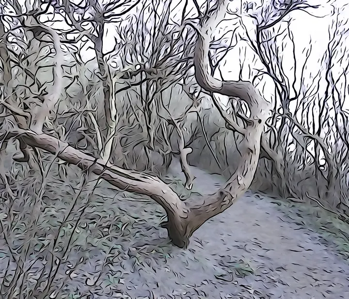 Konturen und Flächen