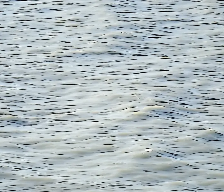 Konturen und Flächen