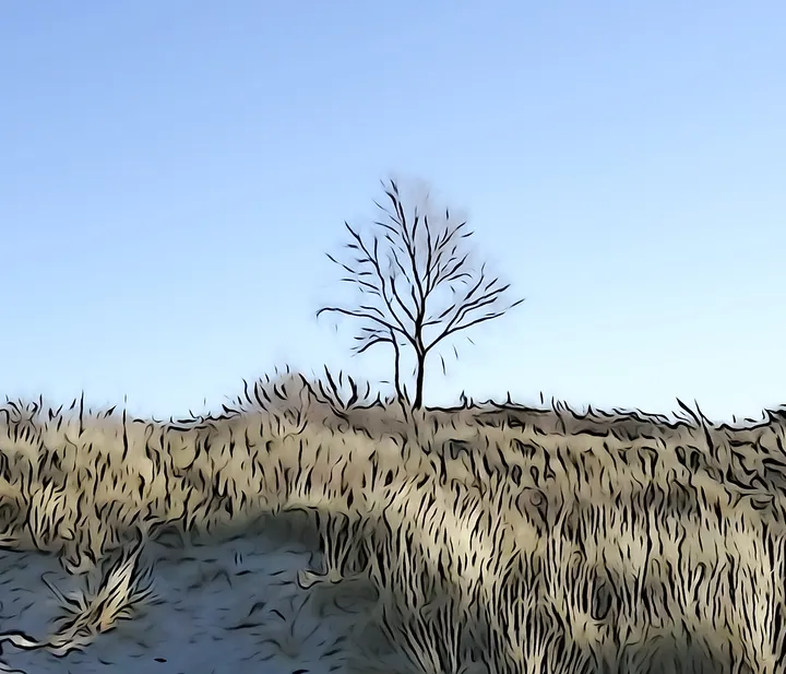 Konturen und Flächen