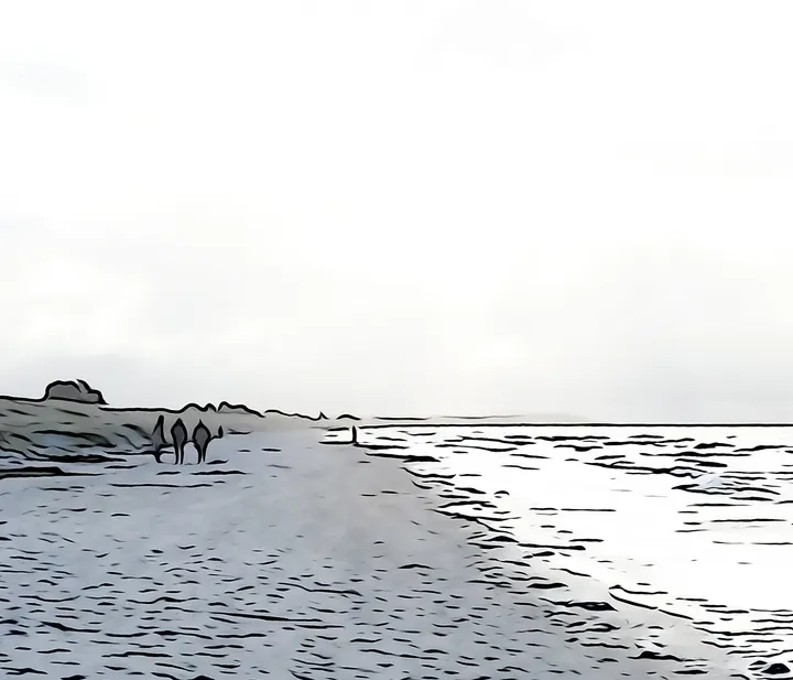 Konturen und Flächen