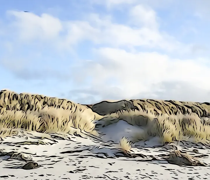 Konturen und Flächen