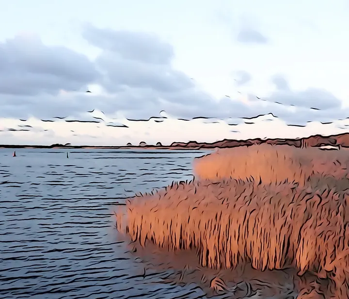 Konturen und Flächen