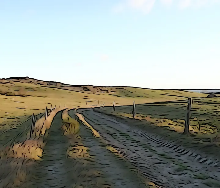 Konturen und Flächen