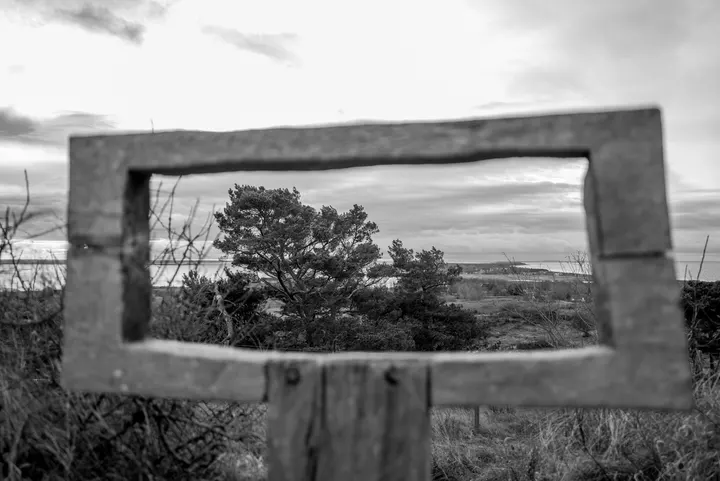 Blickfenster am Dornbusch mit Kiefer und Bucht